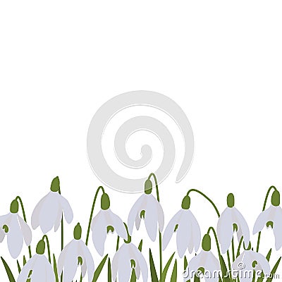 Postcard spring snowdrops botanical illustration Cartoon Illustration